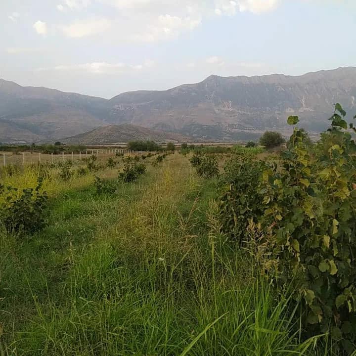 SHITET TRUALL MASHKULLORE GJIROKASTER