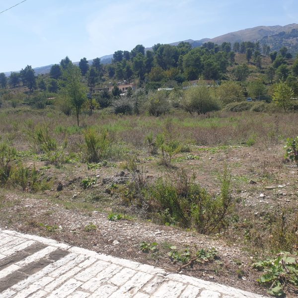 SHITET TRUALL VIRUA GJIROKASTER