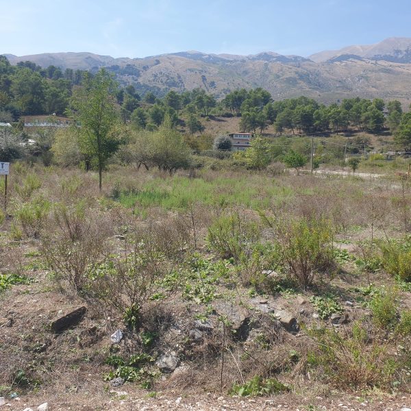 SHITET TRUALL VIRUA GJIROKASTER