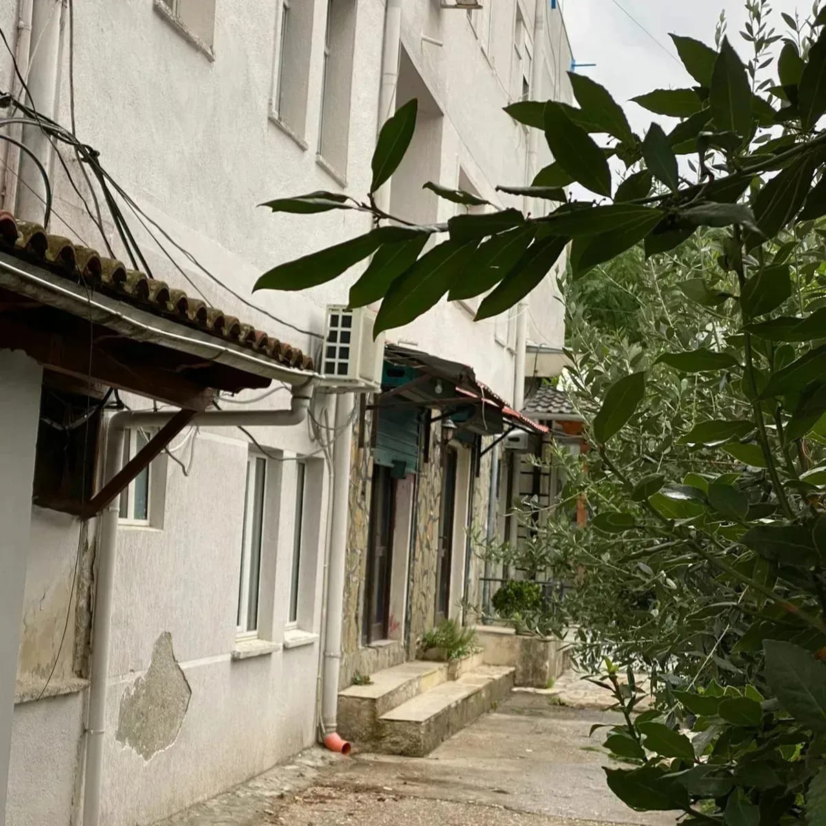 SHITET DYQAN 18 SHTATORI GJIROKASTER