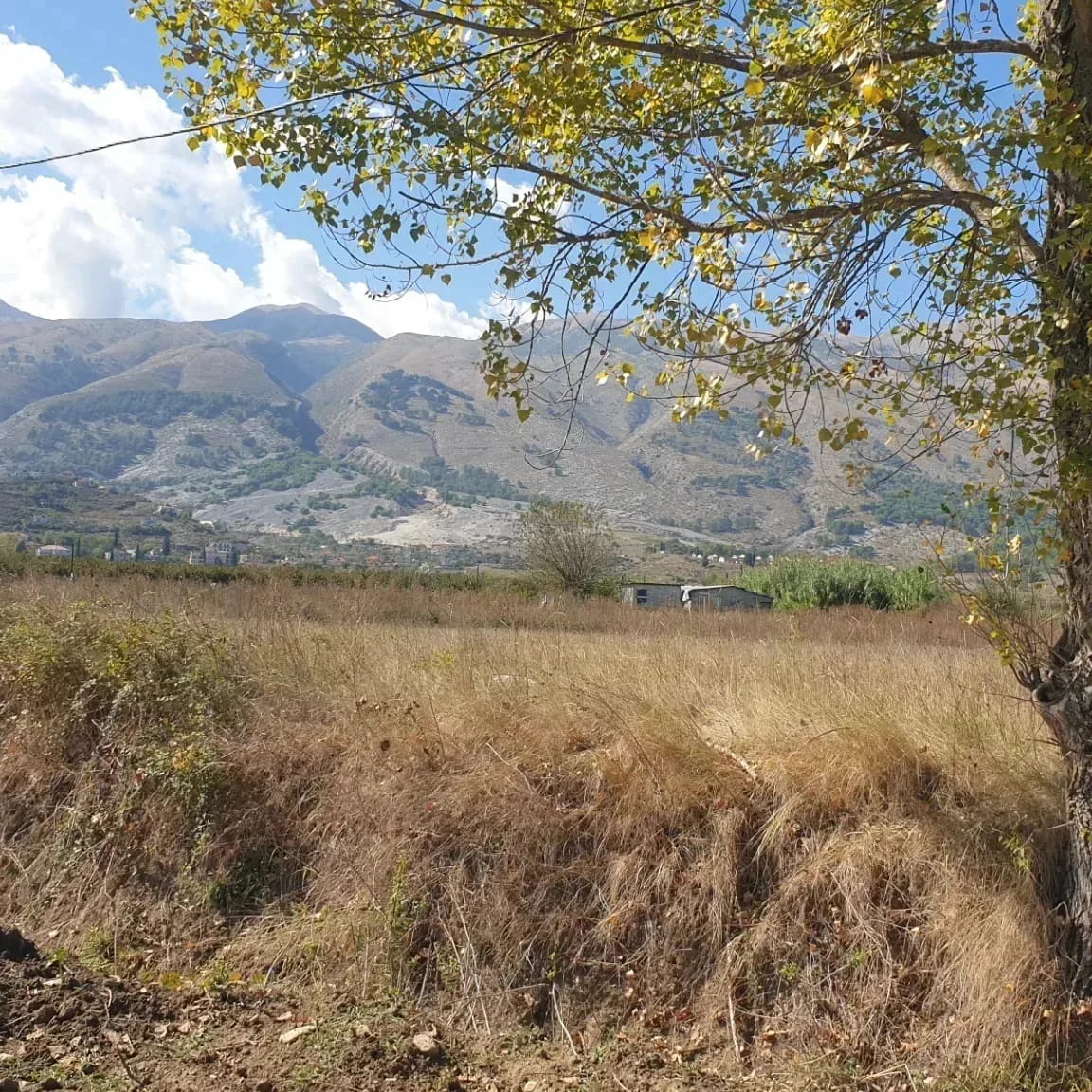 SHITET TOKE ARE VALARE GJIROKASTER