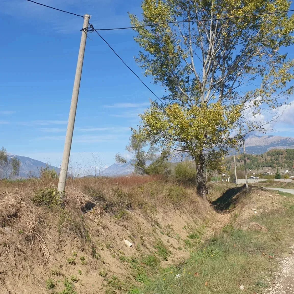 SHITET TOKE ARE VALARE GJIROKASTER