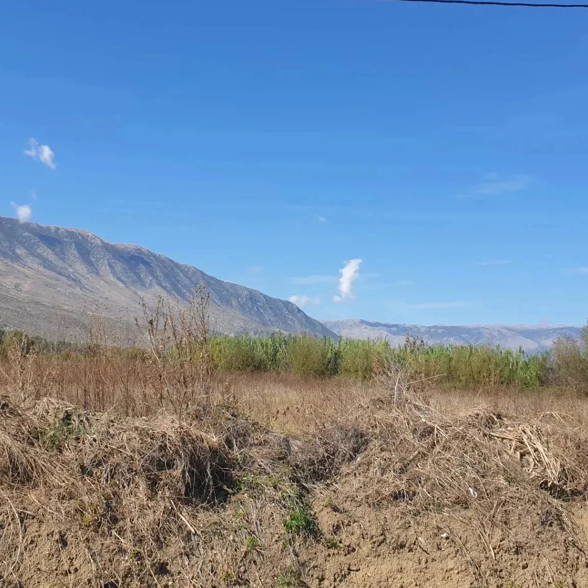 SHITET TOKE ARE VALARE GJIROKASTER