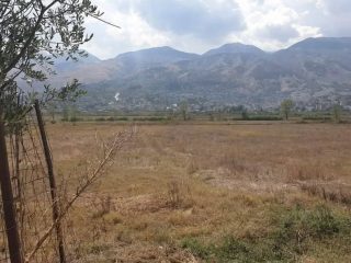 Shitet are me sip 6336.4m2 me vendodhje vije e pare buze rruge ne fshatin Arshi Lengo