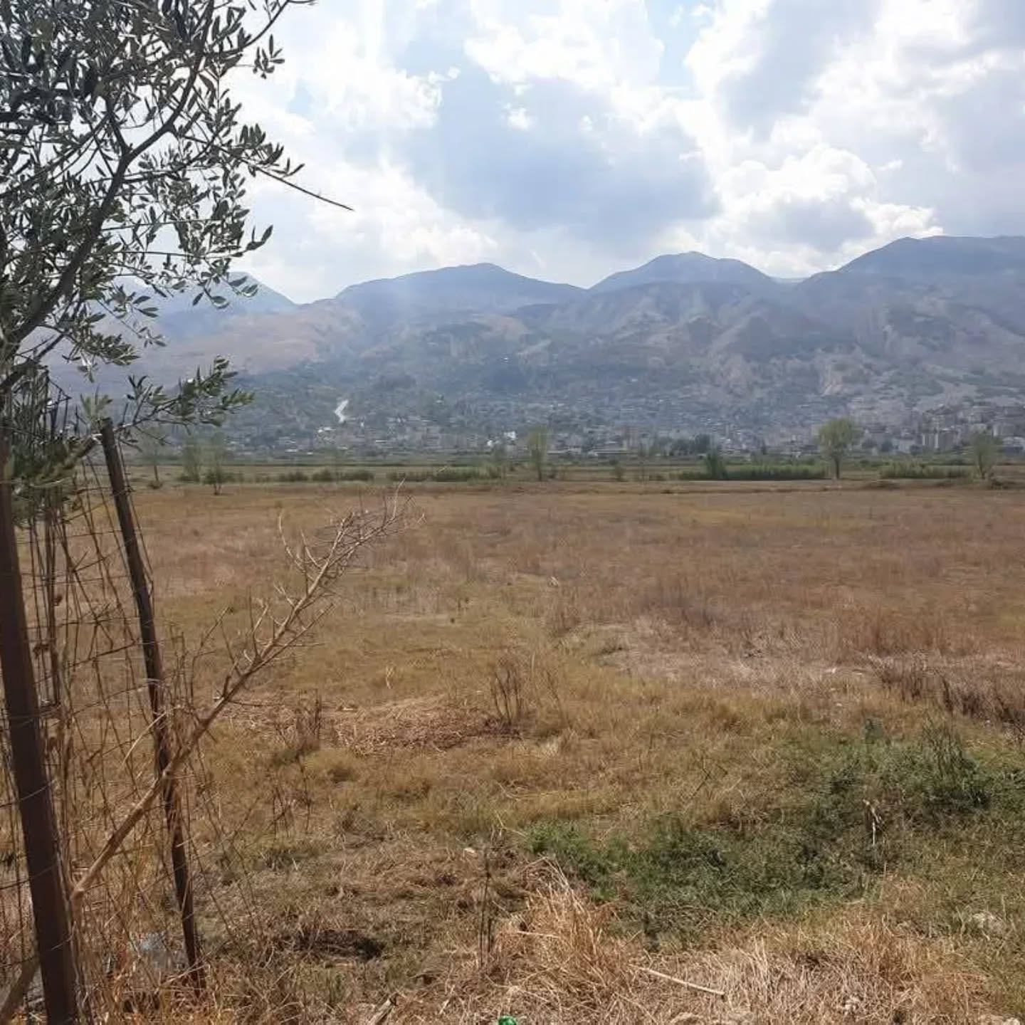 Shitet are me sip 6336.4m2 me vendodhje vije e pare buze rruge ne fshatin Arshi Lengo