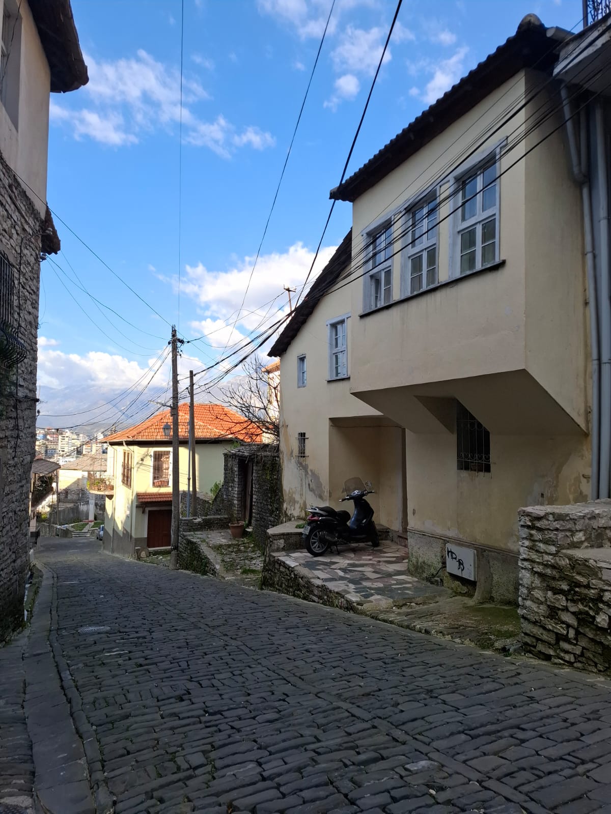 🏡 Shitet shtëpi private në Varosh, Gjirokastër