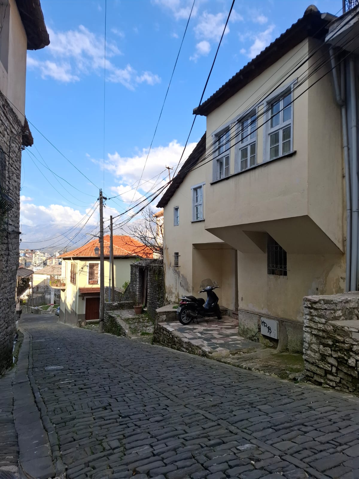🏡 Shitet shtëpi private në Varosh, Gjirokastër